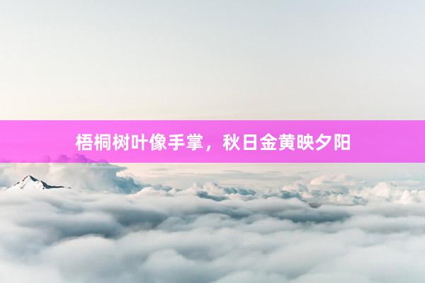 梧桐树叶像手掌，秋日金黄映夕阳