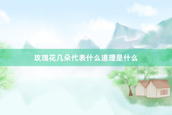 玫瑰花几朵代表什么道理是什么