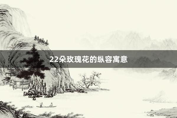 22朵玫瑰花的纵容寓意